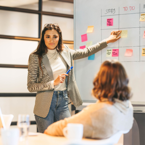 Project, Programme and Change management 